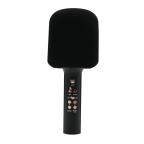 Mikrofon Bluetooth Q11 crni cena 4000 din slika